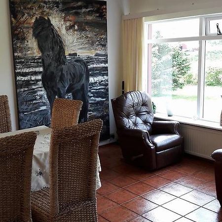 Bed and Breakfast Glaesibaer Reynistadur Exterior foto