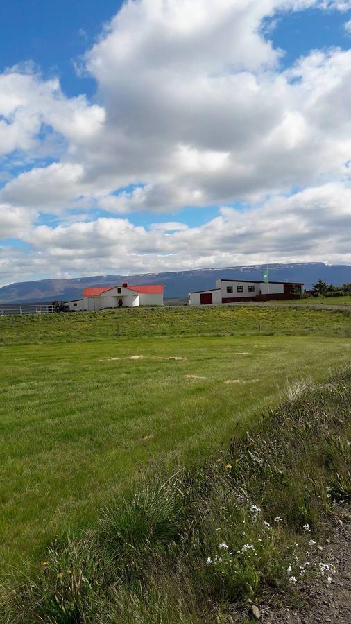 Bed and Breakfast Glaesibaer Reynistadur Exterior foto